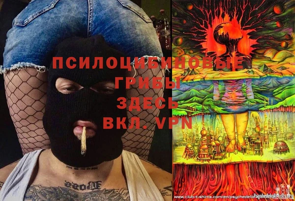 трава Гусев