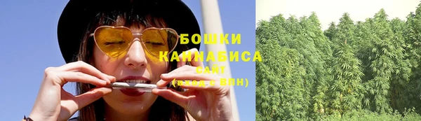 соль ск Гусиноозёрск