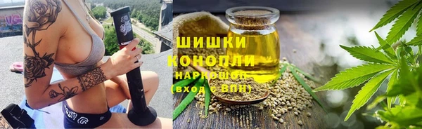 соль ск Гусиноозёрск