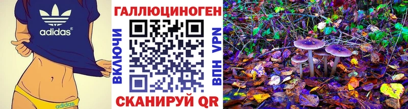 купить наркотик  Калининград  Псилоцибиновые грибы ЛСД 