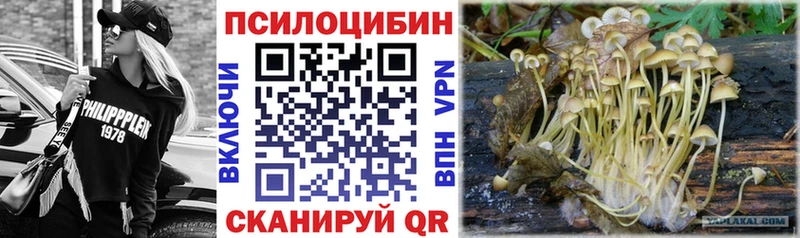 Псилоцибиновые грибы мицелий Калининград
